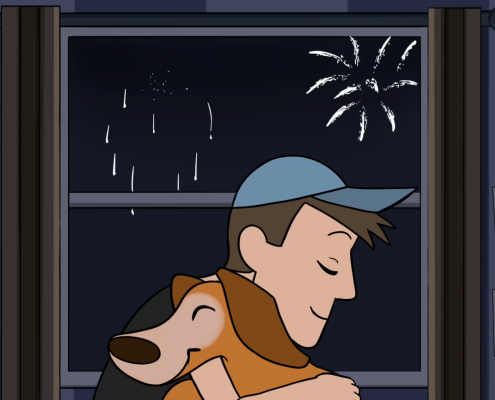 Animation & Storyboards